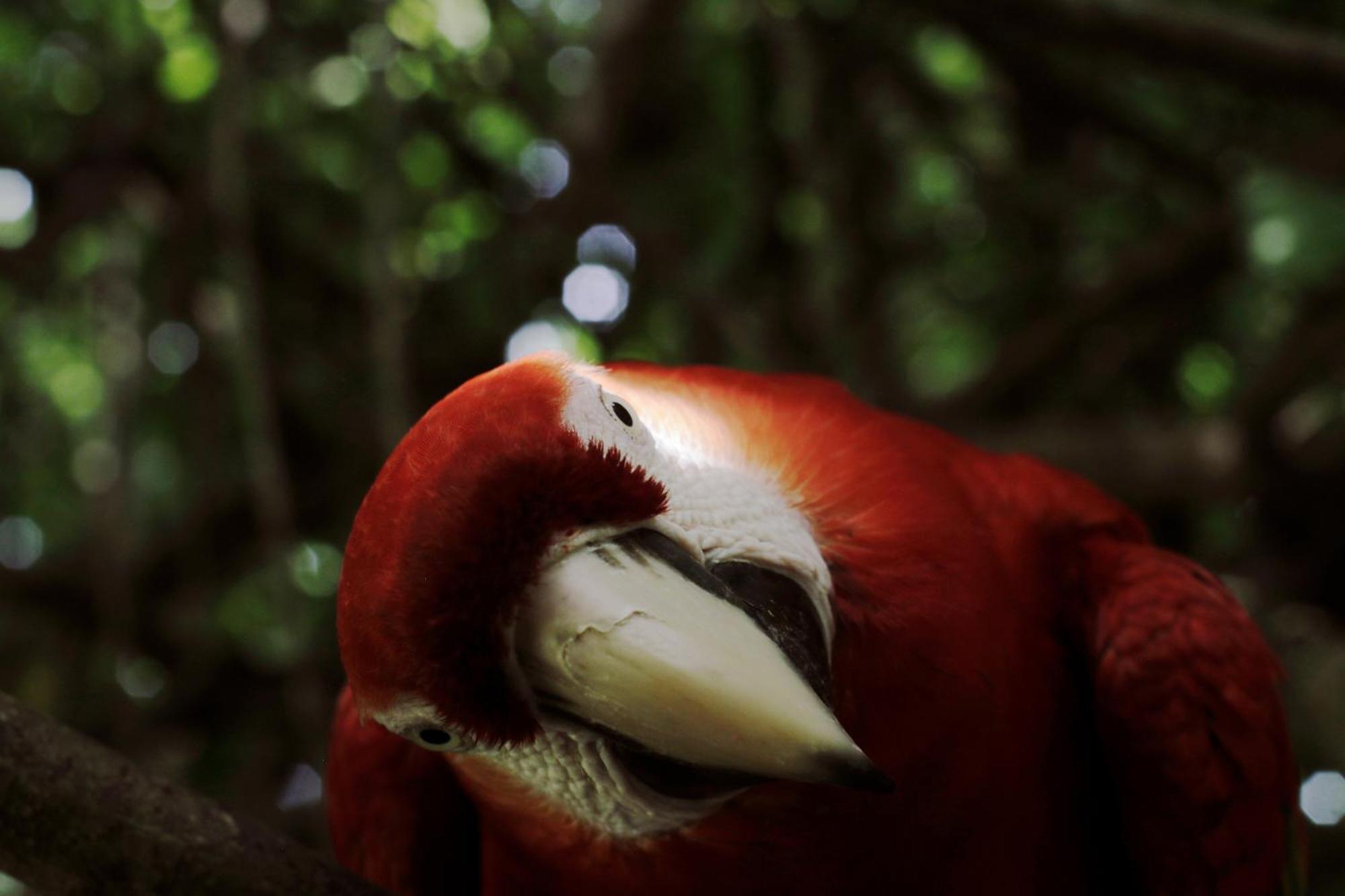 Hotel Finca Barlovento Maloka, Tayrona Los Naranjos Zewnętrze zdjęcie